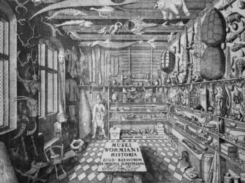The New Curio Cabinets
