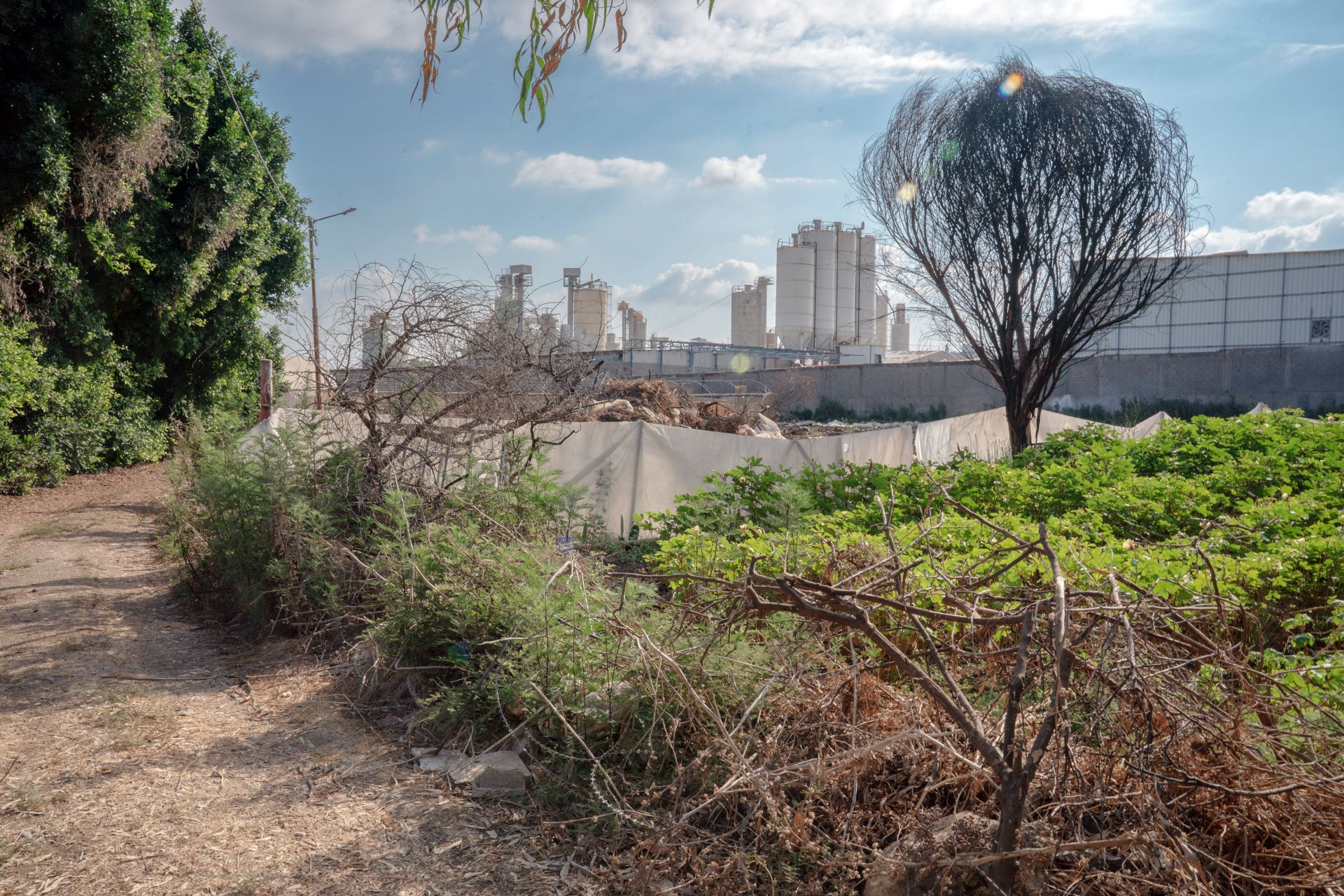 Israel’s Polluting West Bank Factories