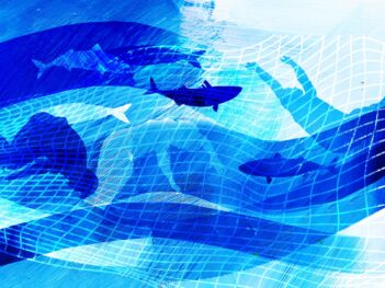 The Indian Fishers Trafficked Into Illegal Operations in Oman