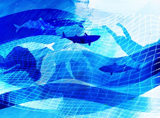 The Indian Fishers Trafficked Into Illegal Operations in Oman