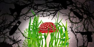 The Mushroom Captivating Wartime Ukraine