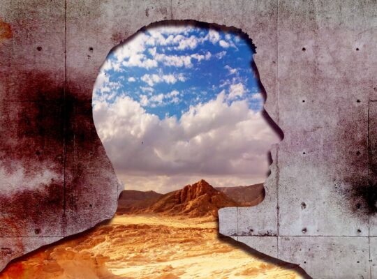 Hopelessness and Love in an Israeli Prison