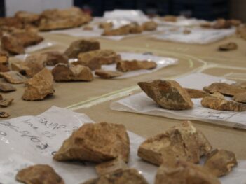 A Greek Island’s First Settlers Weren’t Human