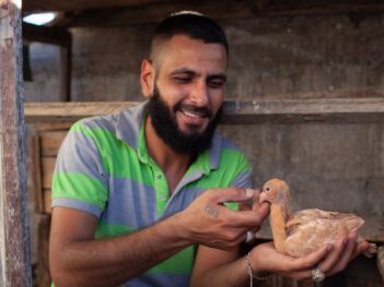 The Undimmed Passion of Damascus’ Pigeon Fanciers