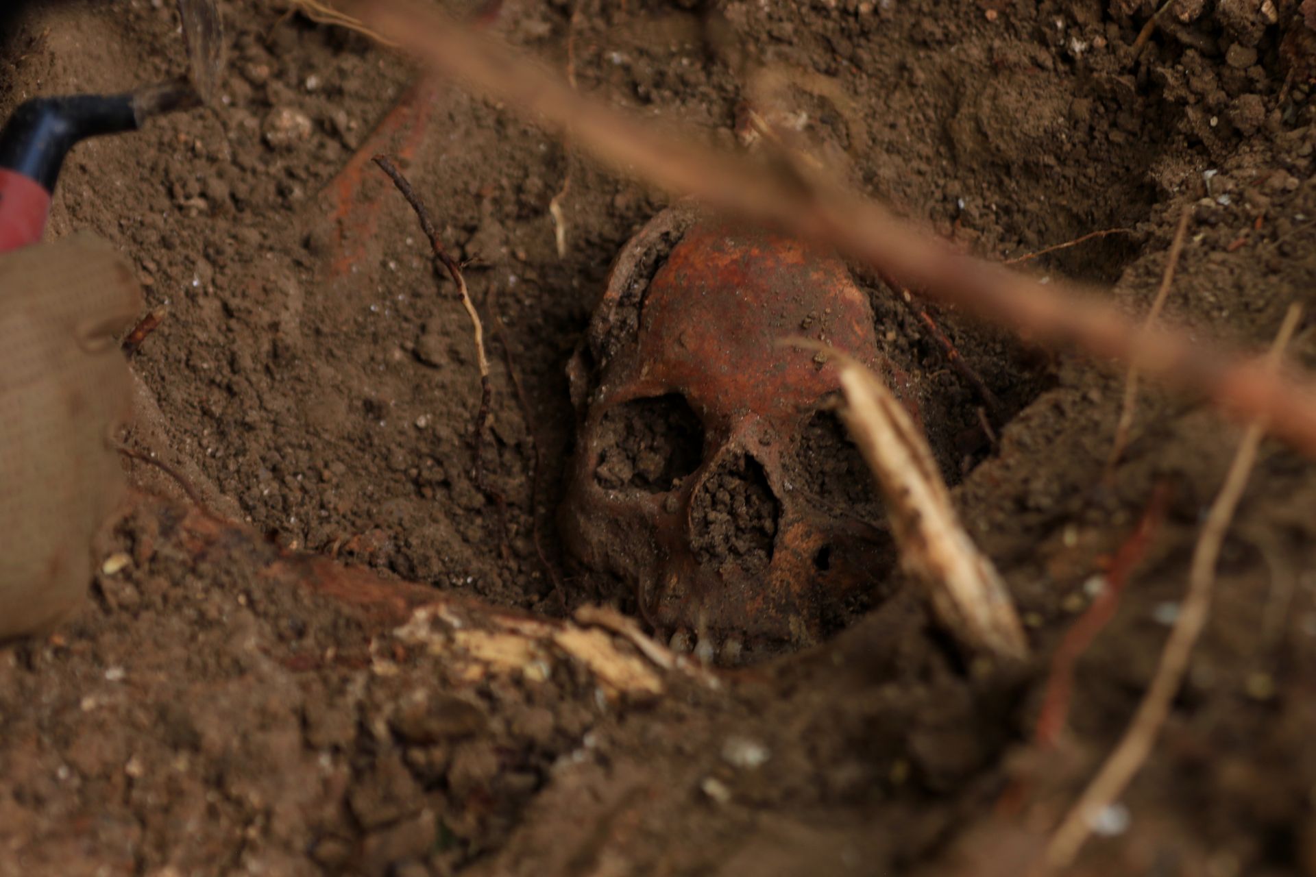 A New Dig Has Revealed Bodies From a WWII Massacre in Ukraine