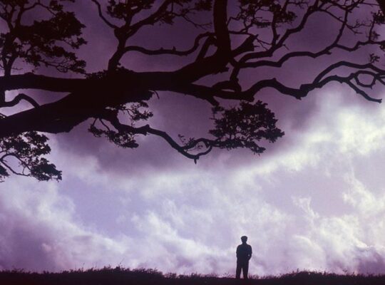 Sri Lanka’s Civil War and the Limits of Literature