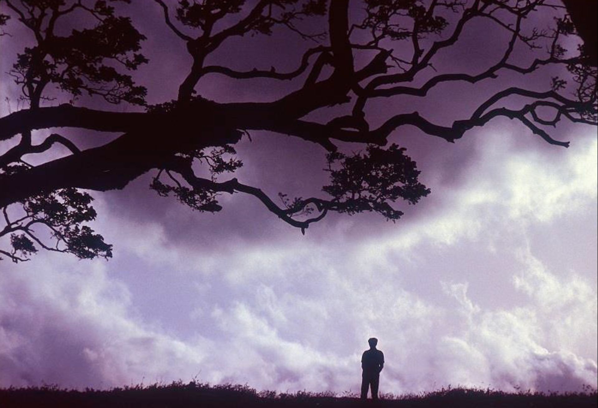 Sri Lanka’s Civil War and the Limits of Literature