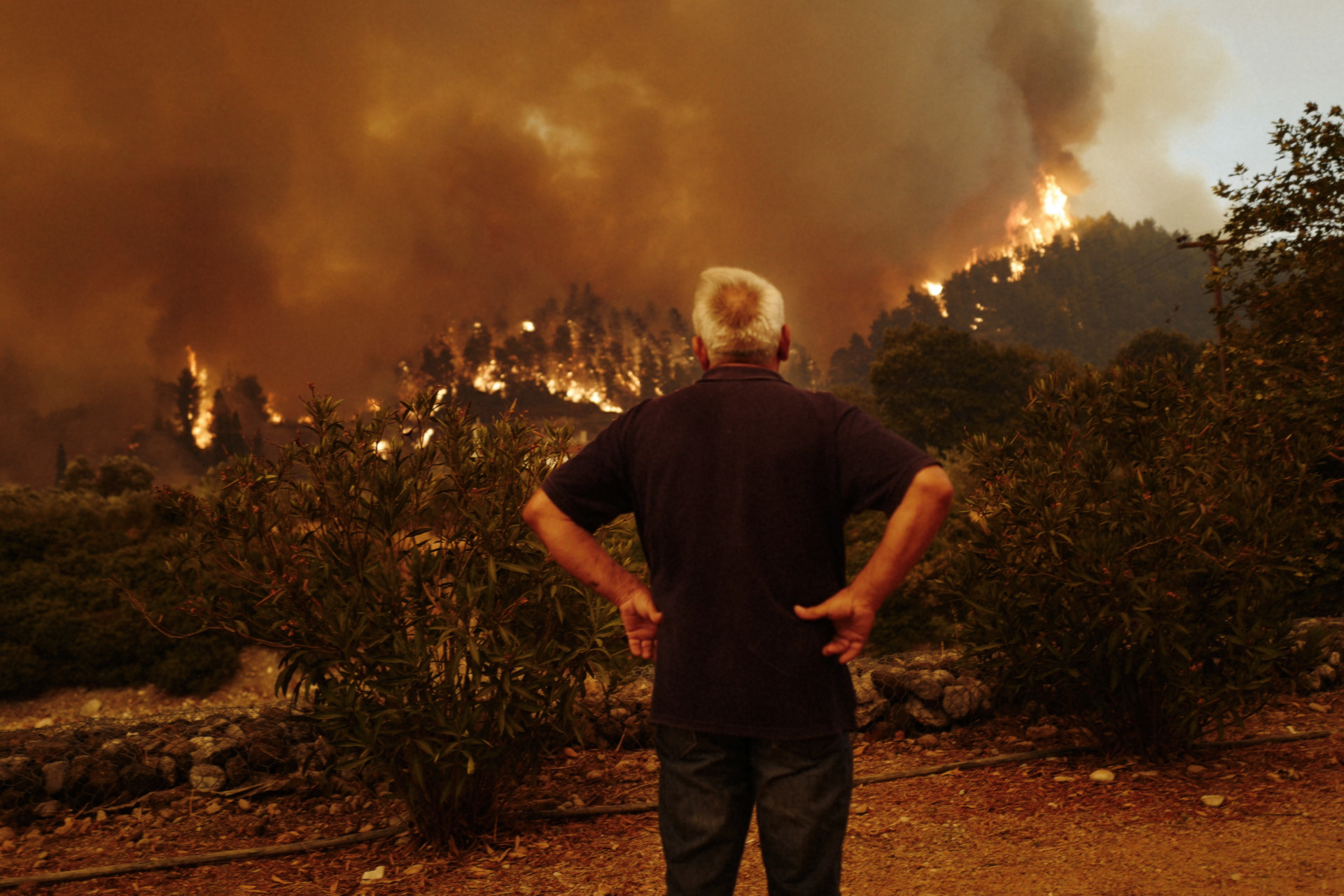 Greece’s Wildfires and the Future of Natural Disasters